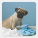 Search for dog sitting stickers Indoors