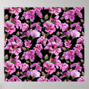 Search for geraniums posters Illustration