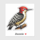 Search for bird with red head stickers Woodpecker