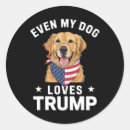 Search for my dog round stickers Conservative