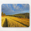 Search for farmer mousepads Barn