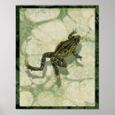 Search for frog painting posters Nature