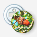Search for acorn barware Nature