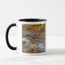 Search for wenatchee mugs River