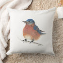 Search for bluebird cushions Wildlife