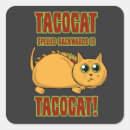 Search for taco cat stickers Cute