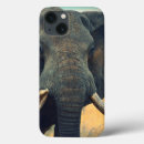 Search for close ipad cases Nature