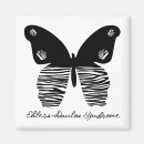 Search for eds magnets Ehlers danlos syndrome