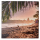 Search for palm tree tiles Tropics