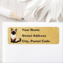 Search for tabby cat return address labels Kitten