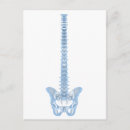 Search for cutout postcards Biology