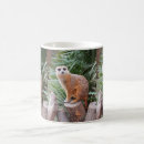 Search for meerkats mugs Wildlife