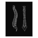 Search for spines posters Black and white