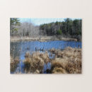 Search for swamp photography Pond
