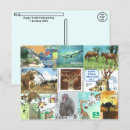 Search for postage stamp postcards Postcrossing