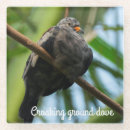Search for birdwatcher coasters Nature