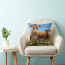 Search for brown cow cushions Cattle