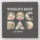 Search for dog coasters Quote