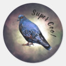 Search for pigeon stickers Blue