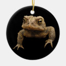 Search for toad christmas tree decorations Animals