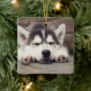 Search for alaskan husky christmas tree decorations Puppy