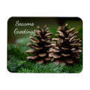 Search for pine cones magnets Seasons greetings