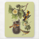 Search for audubon mousepads Vintage