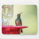 Search for belly mousepads Animal