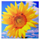 Search for sunflower tiles Bee