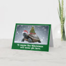 Search for turtle christmas cards Santa
