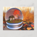 Search for maple leafs postcards Leaves