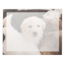 Search for golden retriever notepads Domestic animals