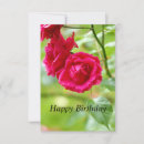 Search for beautiful red rose birthday cards Beauty