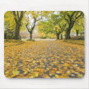 Search for road tree mousepads Green