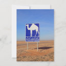 Search for camel cards Sahara