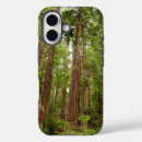 Search for redwood electronics Trees