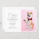 Search for dog memorial invitations Funeral