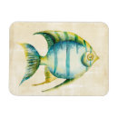 Search for aquarium magnets Portrait