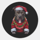 Search for santa hat christmas stickers Dog lover