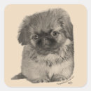 Search for maggi stickers Pets