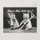 Search for what postcards Vintage