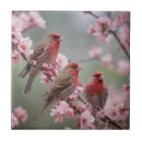 Search for finch tiles Bird