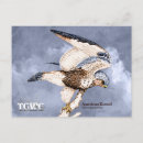 Search for american illustrators postcards Animals
