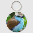 Search for bluebird round key rings Birds