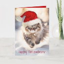 Search for maine coon christmas cards Pet