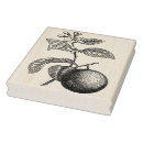 Search for orange rubber stamps Vintage