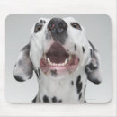Search for aggressive mousepads Humour