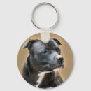 Search for staffies key rings Bull