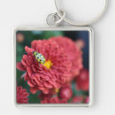 Search for small bugs accessories Yellow