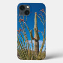 Search for arizona iphone 12 mini cases Saguaro